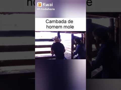 programa pânico e Serjão berranteiro