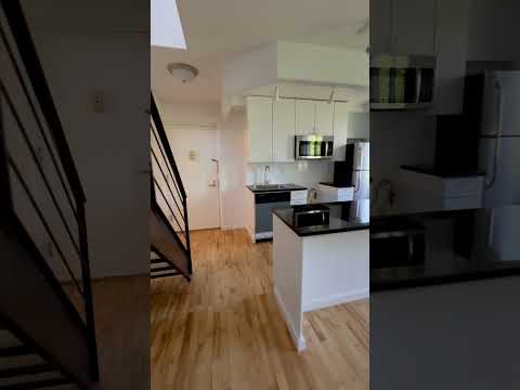 video 1