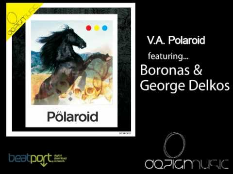 V.A. Polaroid by Dezign Music