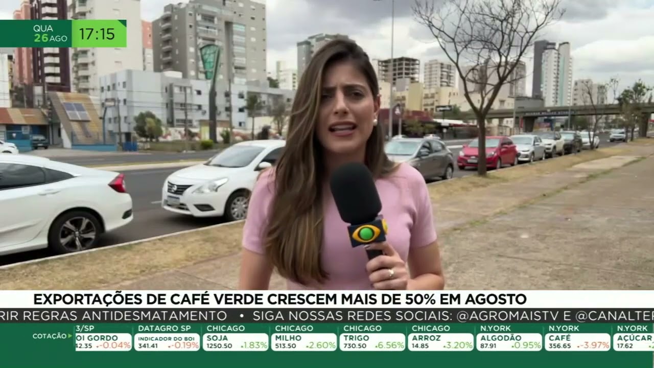 Exportações de café verde crescem mais de 50% em agosto