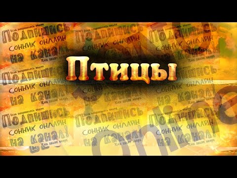 Пья в хлам - смотреть порно онлайн или скачать бесплатно