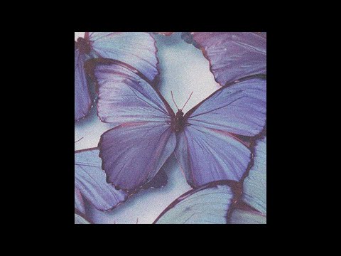 [FREE] Népal x Alpha Wann type beat "BUTTERFLIES" 🦋 - Instru chill old-school 2021 - @rqbeats