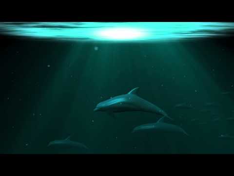 3D Dolphin Composited into Ocean Scene