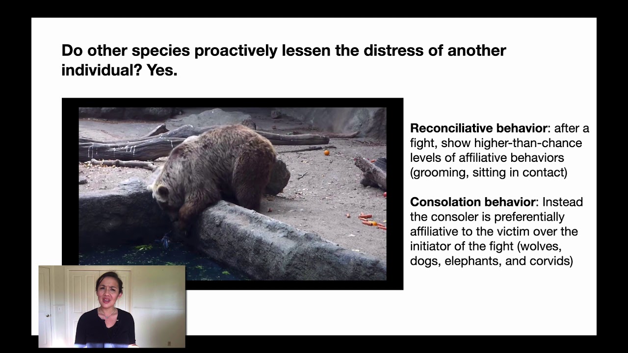 Week 13 Lecture 1: Empathy