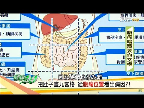 腸胃九宮格