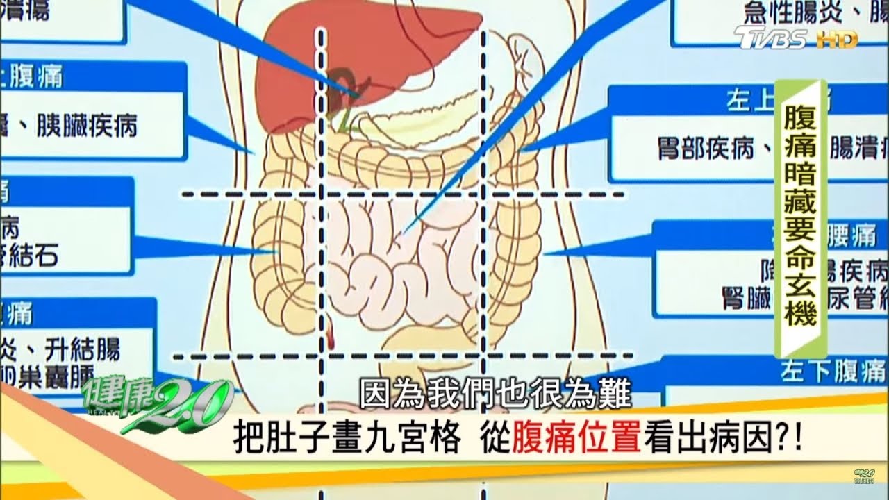 哪裡痛很重要！　從腹痛位置找病因