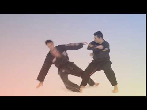 LARRY TATUM KENPO KARATE