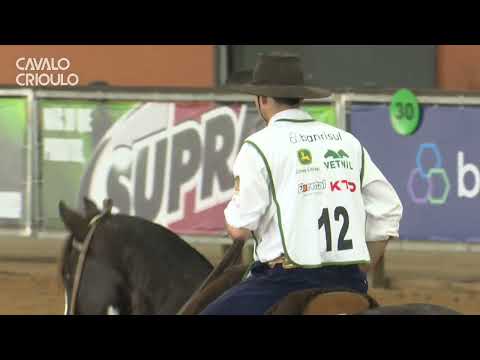 1ª Fêmea-Iluminada Do Rio Negro- Classificatória Gaúcha Sul (Rolante)