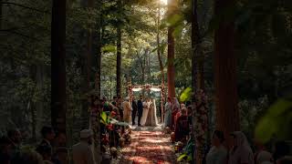 Download lagu KOK NIKAHNYA DI HUTAN⁉️😶‍🌫️ #horror #pengantin #misteri mp3