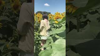 #夏　#Summer #男の娘　#向日葵