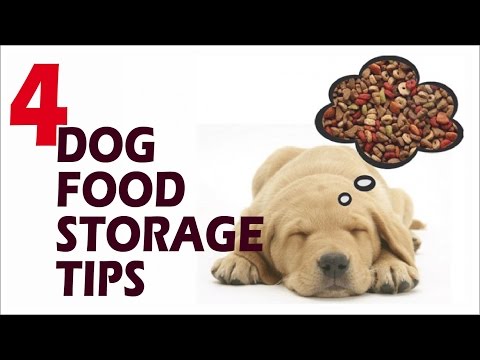 4 Dog Food Storage Tips to Keep Your Dog Safe