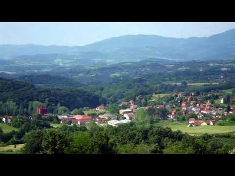 Mladenovic Lalo Dajem dajem srce svoje