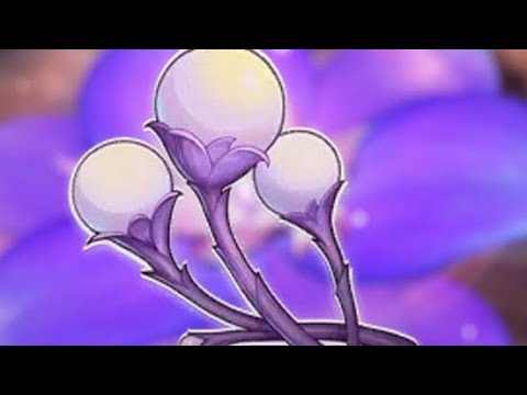 HOW TO GET 3 UDUMBARA PISTILS Genshin Impact