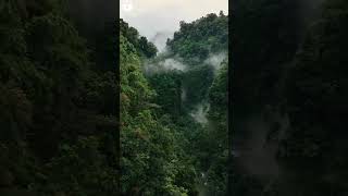 Download lagu pemandangan gunung 🏔️⛰️ #gunung #bukit #gunung #bukitbaja #pemandangangunung mp3