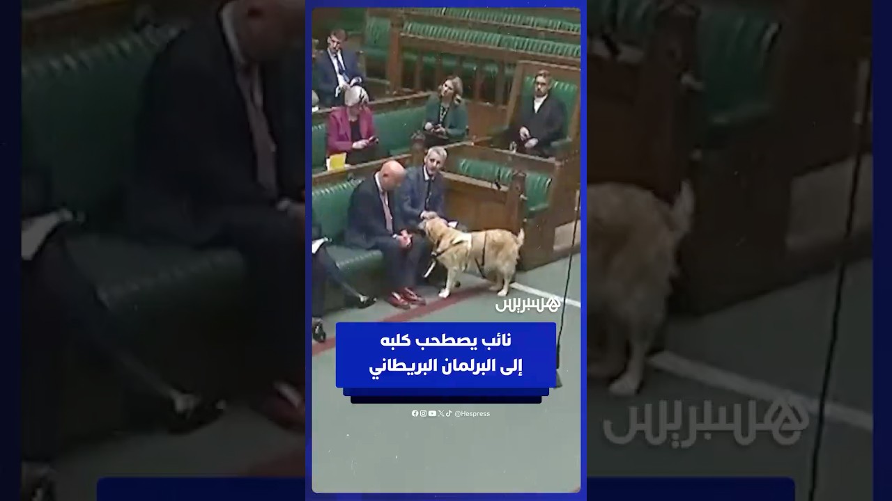 نائب يصطحب كلبه إلى جلسة داخل البرلمان البريطاني thumbnail