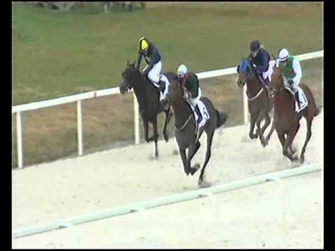 Nyitraszegi HP II. rész 2200m