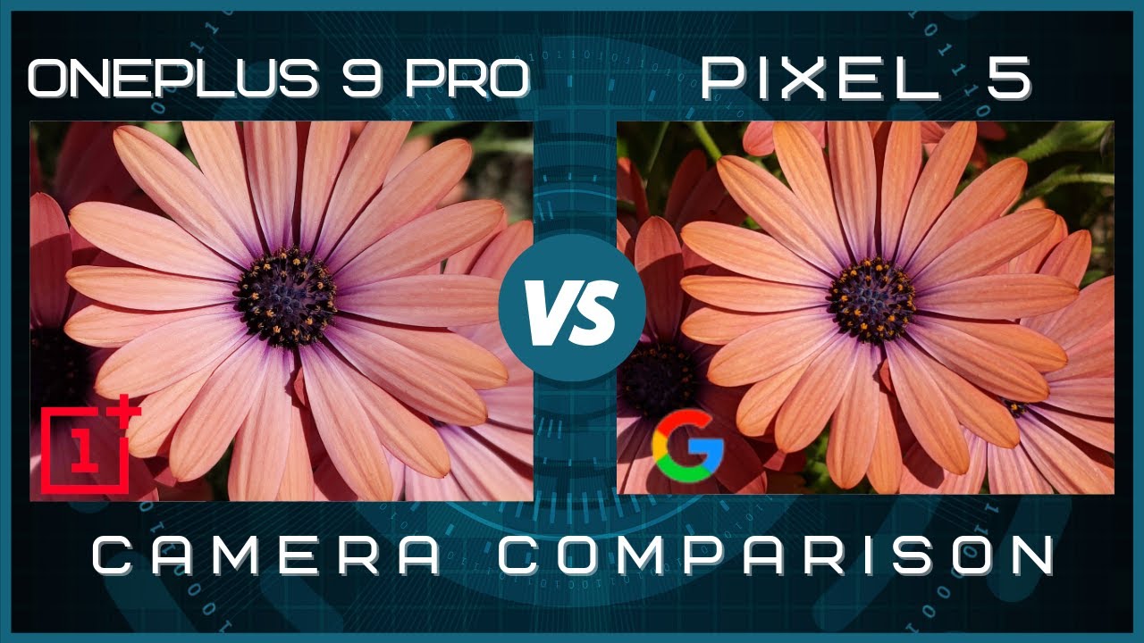 OnePlus 9 Pro vs Google Pixel 5 Camera Comparison | OnePlus 9 Pro System Update #2 (11.2.2.2.LE15AA)
