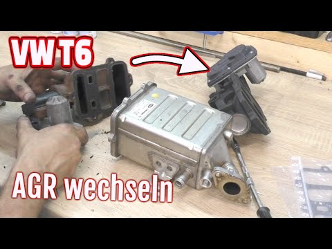 VW T6 Multivan AGR wechseln