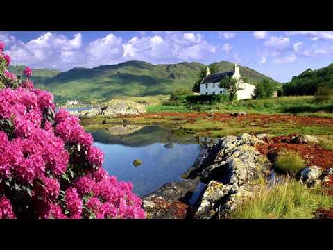 download lagu mp3 mp4 Innes Tartan, download lagu Innes Tartan gratis, unduh video klip Innes Tartan