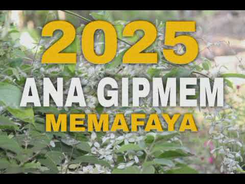 ANA GIPMEM - MEMAFAYA [2025 PNG LATEST MUSIC]