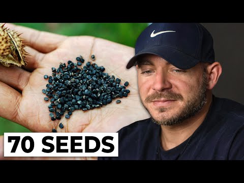 How Eating 70 Datura Seeds Gave Me Schizophrenia - Nightmare Trip Story