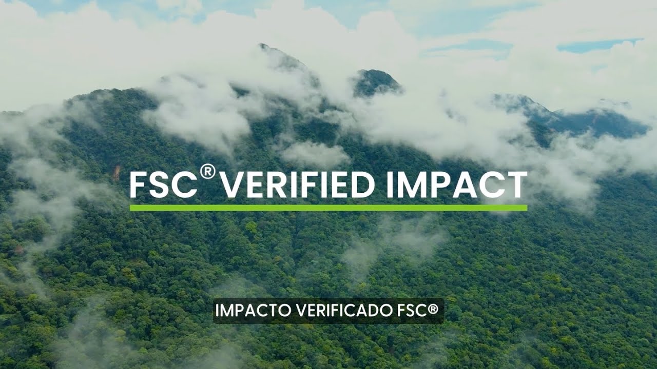 Impacto Verificado FSC: Valor da floresta através dos serviços ecossistêmicos