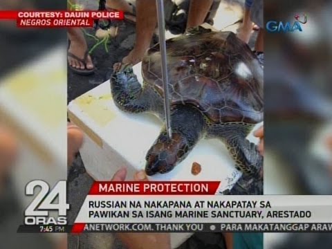 24 Oras: Russian na nakapana at nakapatay sa pawikan sa isang marine sanctuary, arestado