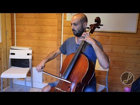 Luca Pellicioli - Insegnante di Violoncello a Mille e una Nota