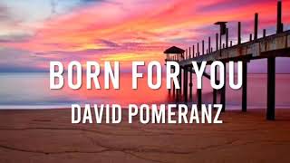 Born For You Lyrics - David Pomeranz