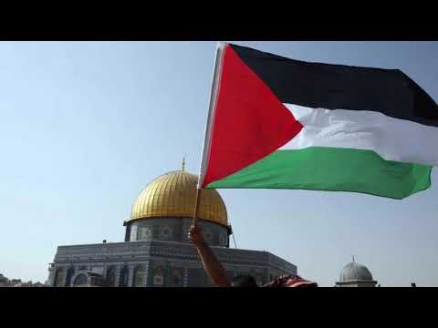 Dammi Falastini, Mohammed Assaf  دمي فلسطيني Arabic lyrics