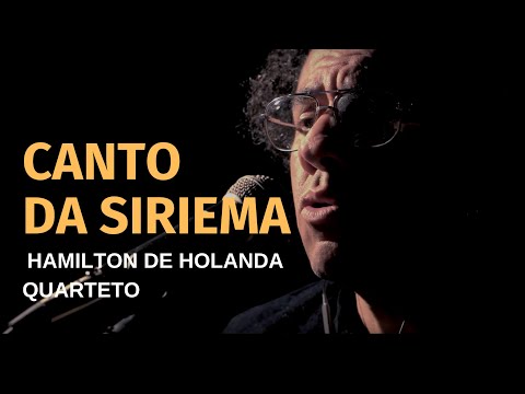 HARMONIZE | CANTO DA SIRIEMA | HAMILTON DE HOLANDA QUARTETO