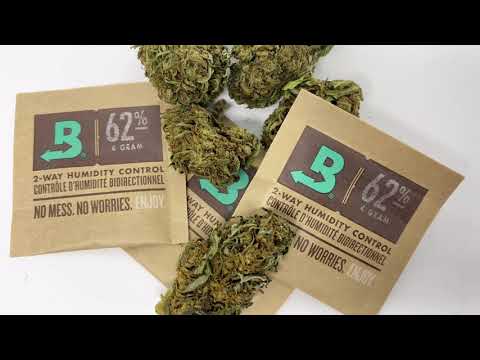 Viracan - Pineapple KUSH - CBD Buds