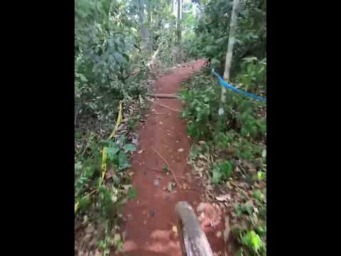 trilhas são Roque do Canaã 