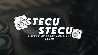 Download lagu DJ STECU STECU X BREAK MY HEART AND FIX IT AGAIN VIRAL TIKTOK TERBARU 2025 mp3