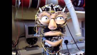 Pedals Behind the Scenes