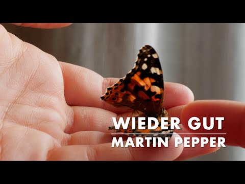 Wieder gut | Martin Pepper mit Uli Kringler | Lyric Video