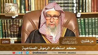 صورة 2599 : حكم استخدام الرموش الصناعية ؟ الشيخ صالح الفوزان