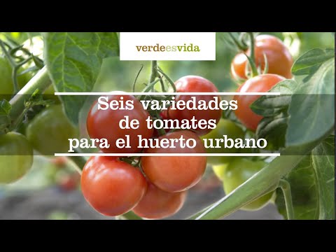 , title : 'Seis variedades de tomates para el huerto urbano'