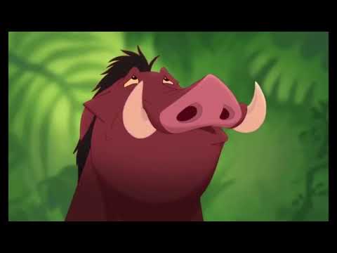 We're Back!: A Wild Animal's Story Part 7 - On the Run/Central Forest