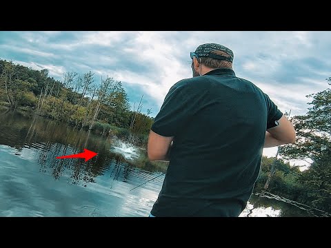 Schock! Wenn beim Biss das Wasser explodiert (kleiner geheimer Waldsee)