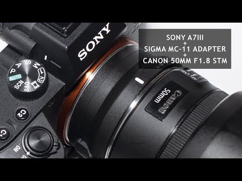Sony A7 III  Sigma MC-11 Adapter  with Canon 50mm f1.8 Autofocus Test