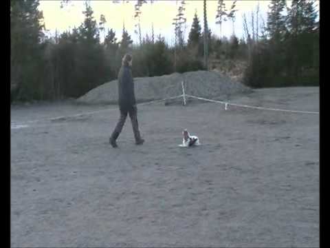 Bronsemerke, Irma 21.03.2012