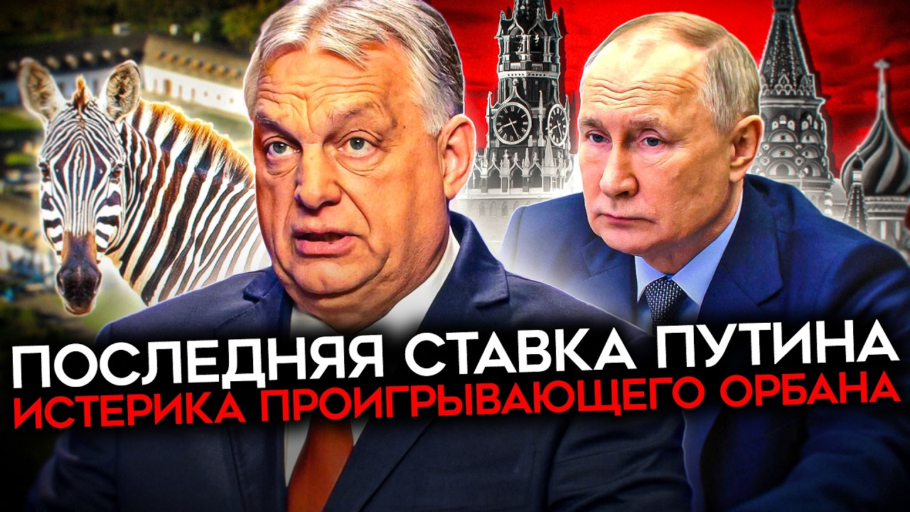 ОРБАН ПРОДАЛ ВЕНГРИЮ ПУТИНУ. Зебры, шпионаж и спецоперация Кремля