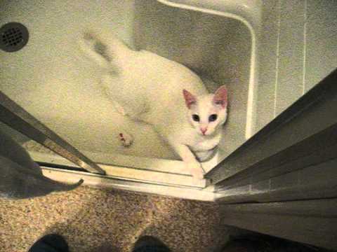 Kona in "Shower Play Time"!