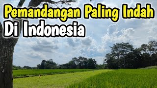 Download lagu Pemandangan Alam Paling Indah Di Indonesia Suasana Pedesaan Dan Persawahan Yang Hijau Sejuk Di Dunia mp3