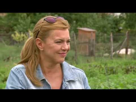 Gasztroangyal 27. rész - Paradicsom és paprika (2015)