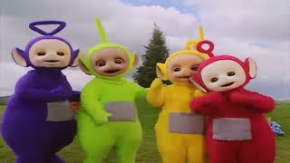 Teletubbies 407 - Squirrels  Cartoons for Kids