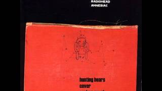 Hunting Bears - Radiohead | Covered by Serkan Soyak