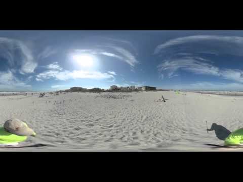 360 Beach Birds