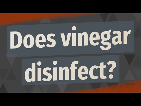 download lagu mp3 mp4 Can Vinegar Disinfect, download lagu Can Vinegar Disinfect gratis, unduh video klip Can Vinegar Disinfect